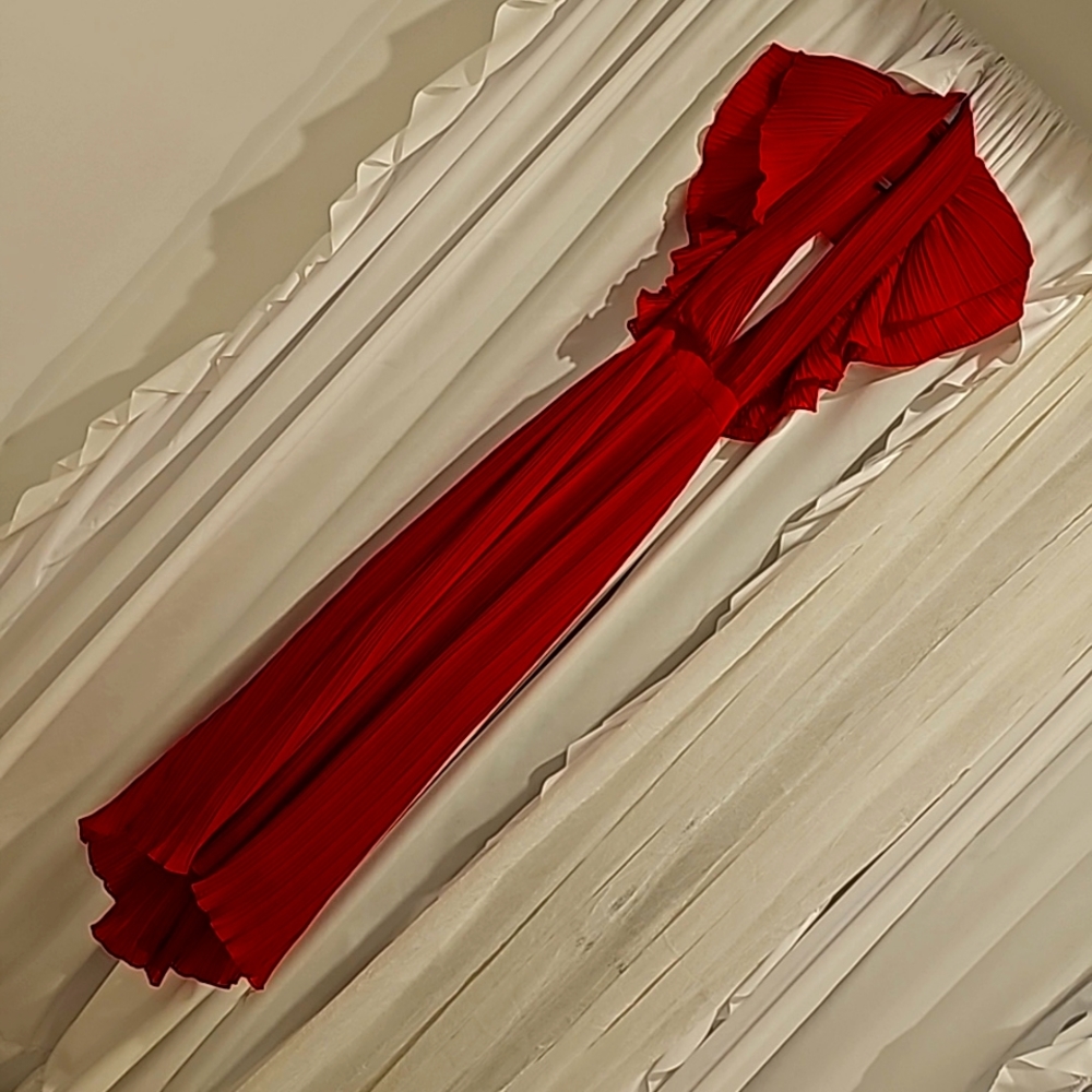 Boutique GORG Ivivi Red long open back gown.